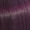 44/65 Mittelbraun Intensiv Violett-mahagoni 60ml