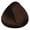 5.57 Light brown mahogany chestnut