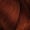 6.46 Autumn DM5/ Rubilane™