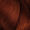 6.46 Autumn DM5/ Rubilane™