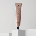 Schwarzkopf Professional Igora Royal Absolutes Permanent Haarfarbe 60ml 7-60