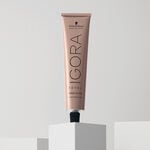 Schwarzkopf Professional Igora Royal Absolutes Permanent Haarfarbe 60ml 6-460