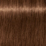 Schwarzkopf Professional Igora Royal Absolutes Permanent Haarfarbe 60ml 7-60