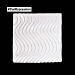 L'Oréal Professionnel Série Expert Curl Expression Mask