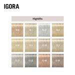 Schwarzkopf Professional Igora Royal High Lift 60ml 10-0