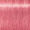 9.5-81 Strawberry