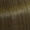 6/0 Dunkelblond 60ml