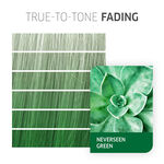 Wella Professionals Color Fresh Create Direktziehende Tönung 60ml