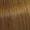 8/73 Hellblond Braun-gold 60ml