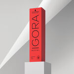 Schwarzkopf Professional Igora Royal Permanent Haarfarbe Mix 60ml E1