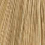 XP200 Natural Flair Permanent Haarfarbe 100ml 9.00 Sehr Helles Intensivblond