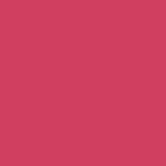 Andreia Professional Perfect Definition - Lipliner 01 Altrosa
