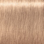 Schwarzkopf Professional Igora Royal Highlifts Permanent Haarfarbe 60ml 12-49