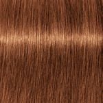 Schwarzkopf Professional Igora Royal Take Over 7-76 Mittelblond Kupfer Schokolade 60ml