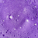 Unite Hair BLONDA Violett-Tonendes Shampoo 1L