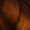 5.4 Light Coppery Brown