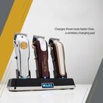 Wahl Multi-Charge Power Station