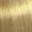 9/01 Lichtblond Natur-asch 60ml
