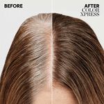 Wella Professionals Color Xpress - Vegan Xpress Touch-up dunkelbraun 3/