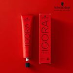 Schwarzkopf Professional Igora Royal Take Over 9-67 Extra Hellblond Schokoladen Kupfer 60ml