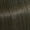 5/1 Hellbraun Asch 60ml