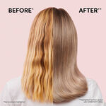 Wella Professionals Shinefinity Activator 2% Brush & Bowl