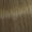 7/1 Mittelblond Asch 60ml