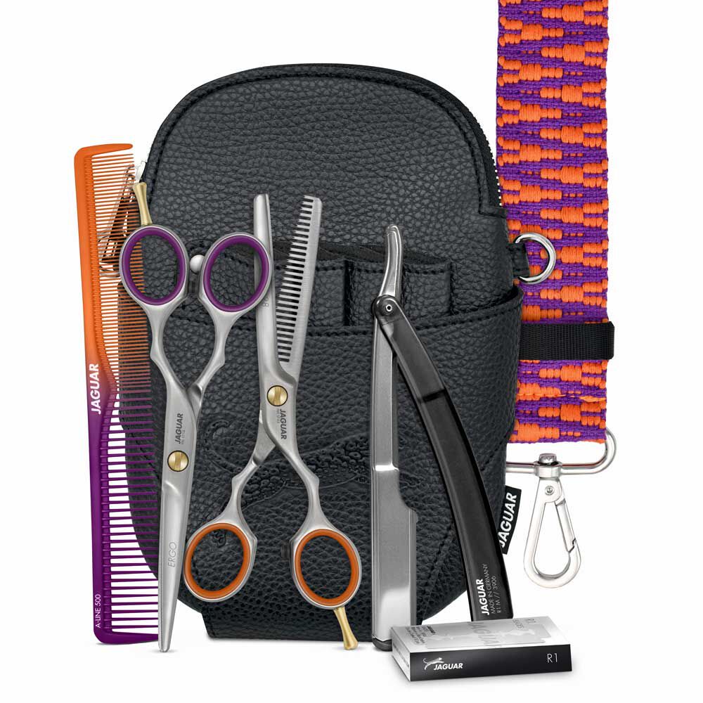 Jaguar Scissors Basic Set The Stage Is Yours Ergo 5.5