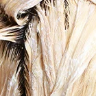 Blondierung